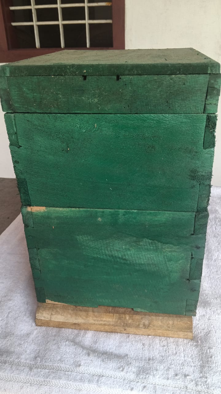 Bee Hive
